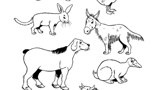 coloriage-animaux-11955.jpg