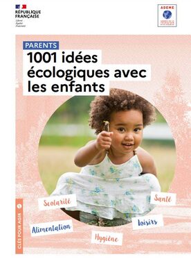 1001 idées écologiques avec les enfants.jpg
