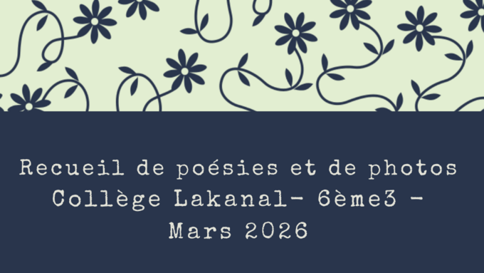 Capture d’écran 2026-04-06 à 16.18.10.png