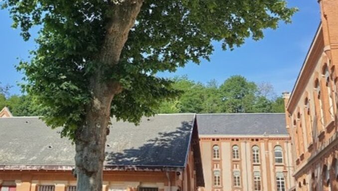 lycée GF.jpeg
